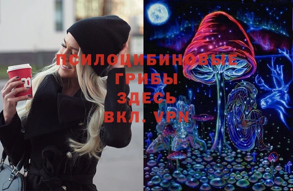 2c-b Куйбышев
