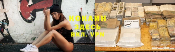Альфа ПВП Семёнов