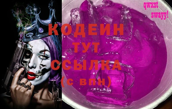 стаф Елизово