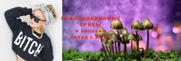 дурь Краснослободск