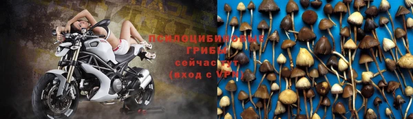 эйфоретик Гусь-Хрустальный