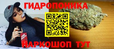 гашик Пыть-Ях