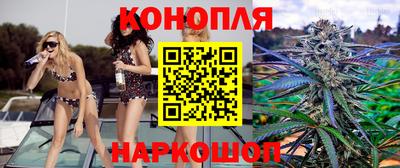 гашик Пыть-Ях