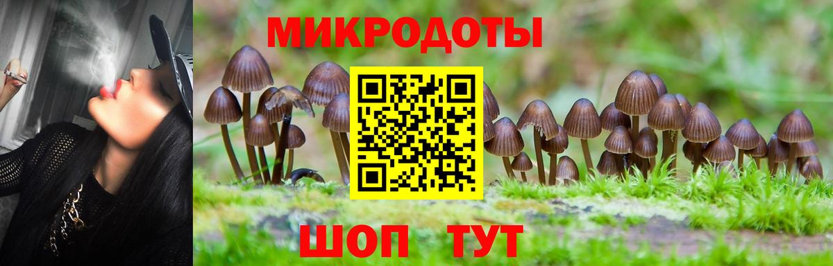 Псилоцибиновые грибы Psilocybine cubensis Волхов